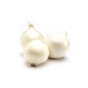 Oignons blancs Bio d’italie  (par 500g)