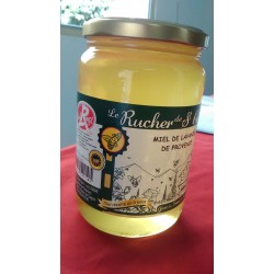 Miel de Lavande 1 Kg