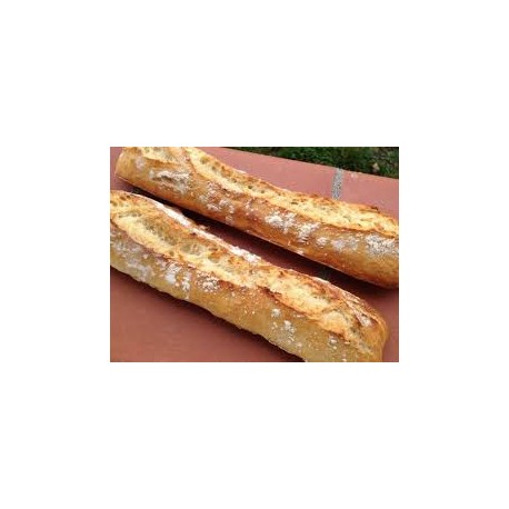 Pain Baguette BIO 135g