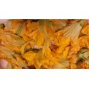 Fleurs de courgette Mandelieu BIO (barquette de 10-12 fleurs)