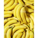 Banane Rep Dom ou Colombie Bio CE (au 500g)