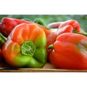 Poivrons rouges Agric R (par 500 g)