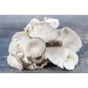 champignons Pleurotes Gris Bio (au 100G)  par Echange Paysans