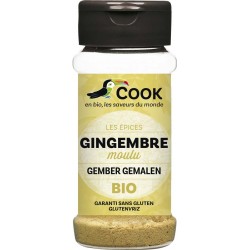 Gingembre poudre 30g