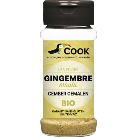 Gingembre poudre 30g