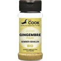 Gingembre poudre 30g