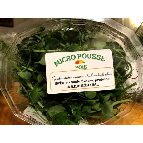 Barquette Micro Pousses  Moutarde (barquette 20 g)