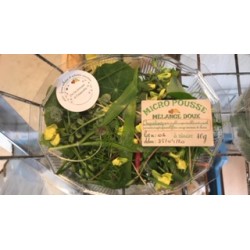 Mélange " doux" Micropousses 40 g (la barquette)