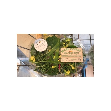 Mélange " doux" Micropousses 40 g (la barquette)