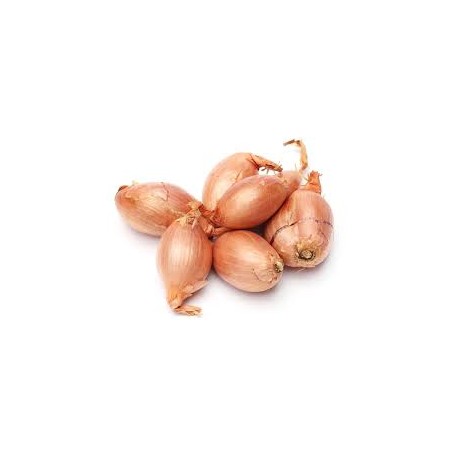 Échalotes bio de France (aux 100g)