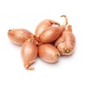 Échalotes bio de France (aux 100g)