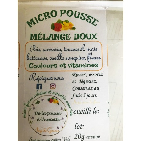 Mélange " doux" Micropousses 40 g (la barquette)