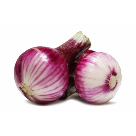 Oignons rouges frais (au 500G)   Echange Paysans- Sandrine Turrel