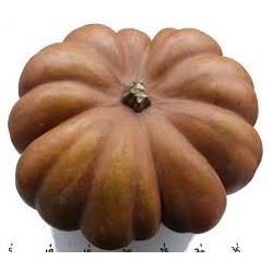 Courge musquée BIO (au kg)