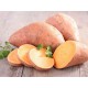 Patate douce BIO au Kg