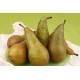 Poires Louise bonne au Kg