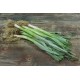 Poireaux Bio au Kg
