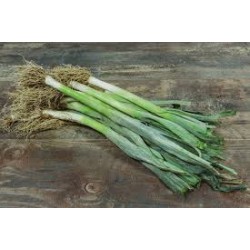 Petits poireaux  au 500g