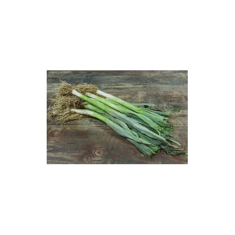Poireaux Bio au Kg