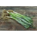 Petits poireaux  au 500g