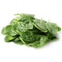 Pousses dépinards  Agric R à l'hectogramme (100g)