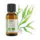 Huile Essentielle TEA TREE FLORAME 30 ML