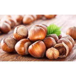 Noisettes en coques VRAC- vendu au 100g