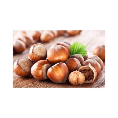 Noisettes en coques VRAC- vendu au 100g