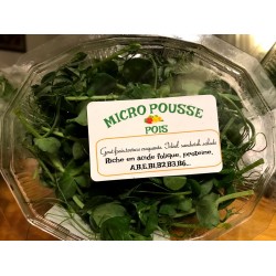 Barquette Micro Pousses  Moutarde (barquette 20 g)
