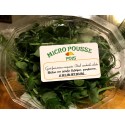 Barquette Micro Pousses de Brocoli  (barquette 25 30g)