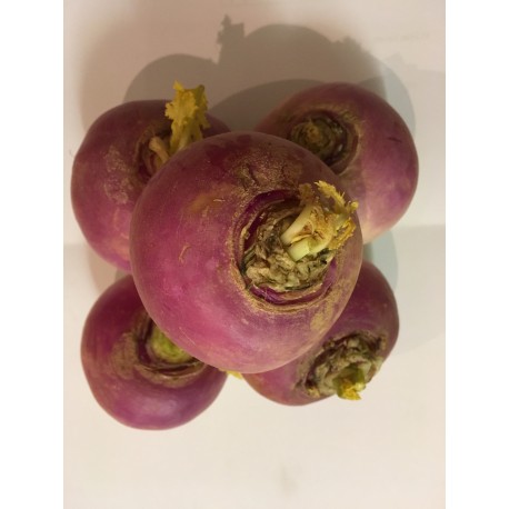 Navet BIO (prix au kg)