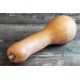 Courge longue de Nice (Bio de Grasse ,venue au kg)