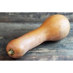 Courge longue de Nice (Bio de Grasse ,venue au kg)