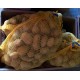 Pomme de terre "Charlotte" BIO