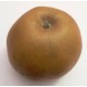 Pomme Reinette BIO au Kg