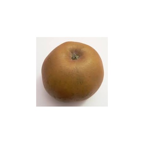 Pomme Reinette BIO au Kg