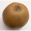 Pommes Reinette grise BIO au Kg