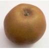 Pomme Reinette BIO au Kg