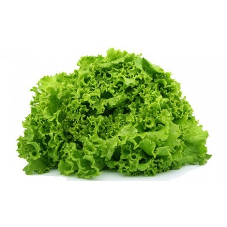 Batavia blonde    BIO