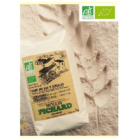 Farine de farine aux 9 céréales