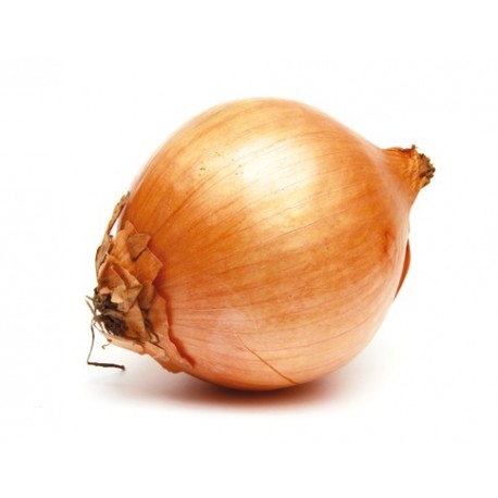 Oignons jaunes BIO  au Kg 