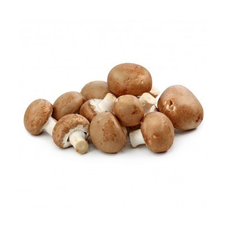 Champignons de Paris  BIO au Kg